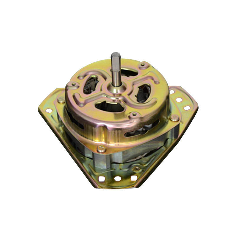 Washing Machine Motor